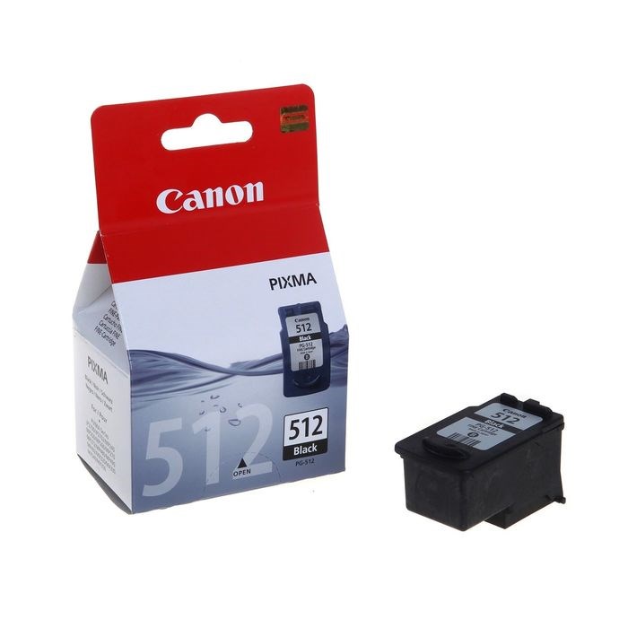 Картридж струйный Canon PG-512 2969B007 черный для Canon MP240/MP260/MP480 - фото 51363978 Картридж струйный Canon PG-512 2969B007 черный для Canon MP240/MP260/MP480 - фото 51363978