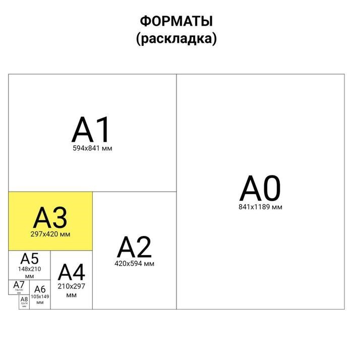 Пленка для ламинирования A3 303х426 мм, 100 мкм, 100 штук, глянцевые, BRAUBERG 530895 - фото 51364208 Пленка для ламинирования A3 303х426 мм, 100 мкм, 100 штук, глянцевые, BRAUBERG 530895 - фото 51364208