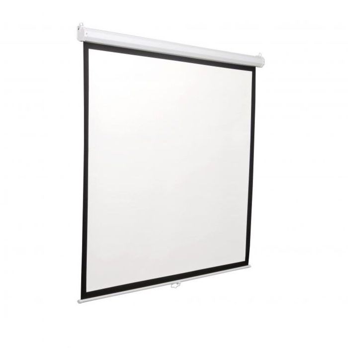 Экран Cactus 180x180 Motoscreen CS-PSM-180x180 1:1, настенно-потолочный, рулонный - фото 51364505 Экран Cactus 180x180 Motoscreen CS-PSM-180x180 1:1, настенно-потолочный, рулонный - фото 51364505