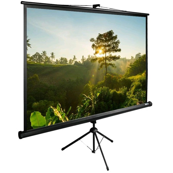 Экран Cactus 200x200см TriExpert CS-PSTE-200x200-BK 1:1 напольный рулонный черный - фото 51368560 Экран Cactus 200x200см TriExpert CS-PSTE-200x200-BK 1:1 напольный рулонный черный - фото 51368560