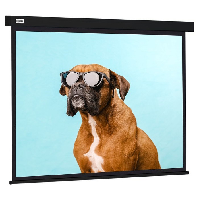 Экран Cactus 183x244см CS-PSW-183X244-BK, 4:3, настенно-потолочный, рулонный, черный - фото 51374468 Экран Cactus 183x244см CS-PSW-183X244-BK, 4:3, настенно-потолочный, рулонный, черный - фото 51374468