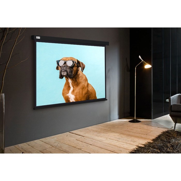 Экран Cactus 183x244см CS-PSW-183X244-BK, 4:3, настенно-потолочный, рулонный, черный - фото 51374469 Экран Cactus 183x244см CS-PSW-183X244-BK, 4:3, настенно-потолочный, рулонный, черный - фото 51374469