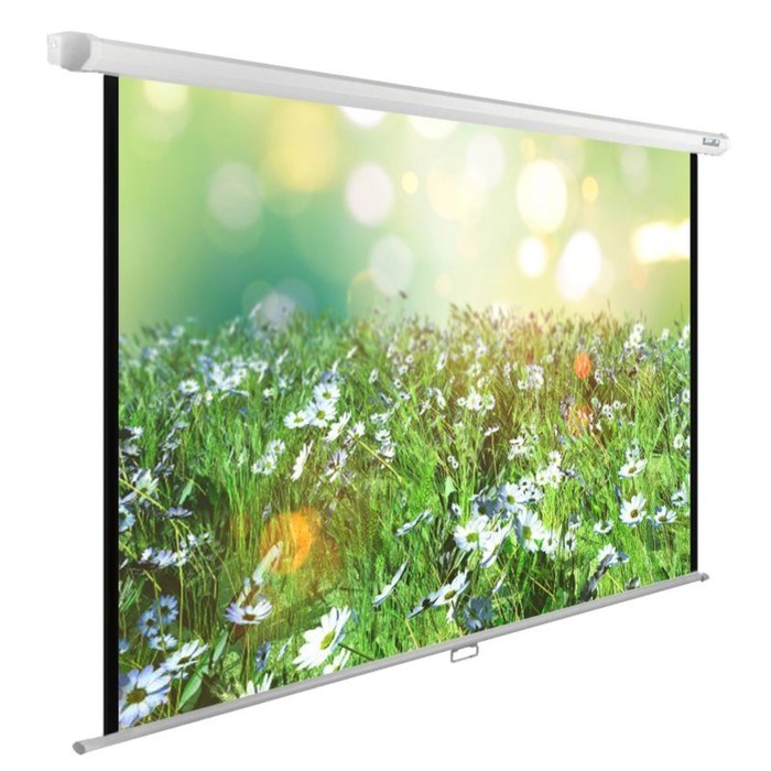 Экран Cactus 200x200см CS-PSWE-200x200-WT, 1:1, настенно-потолочный, рулонный - фото 51374477 Экран Cactus 200x200см CS-PSWE-200x200-WT, 1:1, настенно-потолочный, рулонный - фото 51374477