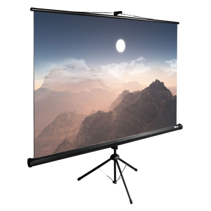 Экран Cactus 180x180см CS-PSTE-180x180-BK, 1:1, напольный, рулонный, черный - фото 51374485 Экран Cactus 180x180см CS-PSTE-180x180-BK, 1:1, напольный, рулонный, черный - фото 51374485
