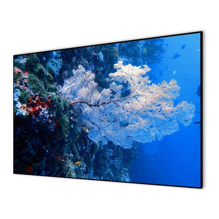 Экран Cactus 151x267см CS-PSALR-267X151, 16:9, на раме, настенный, натяжной - фото 51374511 Экран Cactus 151x267см CS-PSALR-267X151, 16:9, на раме, настенный, натяжной - фото 51374511