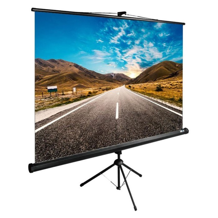 Экран Cactus 160x160см CS-PSTE-160x160-BK, 1:1, напольный, рулонный, черный - фото 51374518 Экран Cactus 160x160см CS-PSTE-160x160-BK, 1:1, напольный, рулонный, черный - фото 51374518