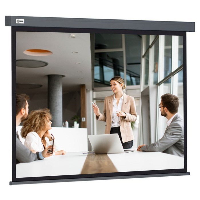 Экран Cactus 127x127см Wallscreen CS-PSW-127X127-SG 1:1 настенно-потолочный рулонный серый - фото 51374543 Экран Cactus 127x127см Wallscreen CS-PSW-127X127-SG 1:1 настенно-потолочный рулонный серый - фото 51374543