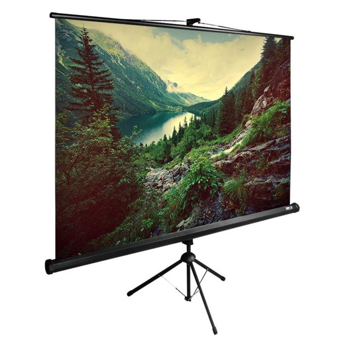 Экран Cactus 220x220см CS-PSTE-220x220-BK, 1:1, напольный, рулонный, черный - фото 51374551 Экран Cactus 220x220см CS-PSTE-220x220-BK, 1:1, напольный, рулонный, черный - фото 51374551