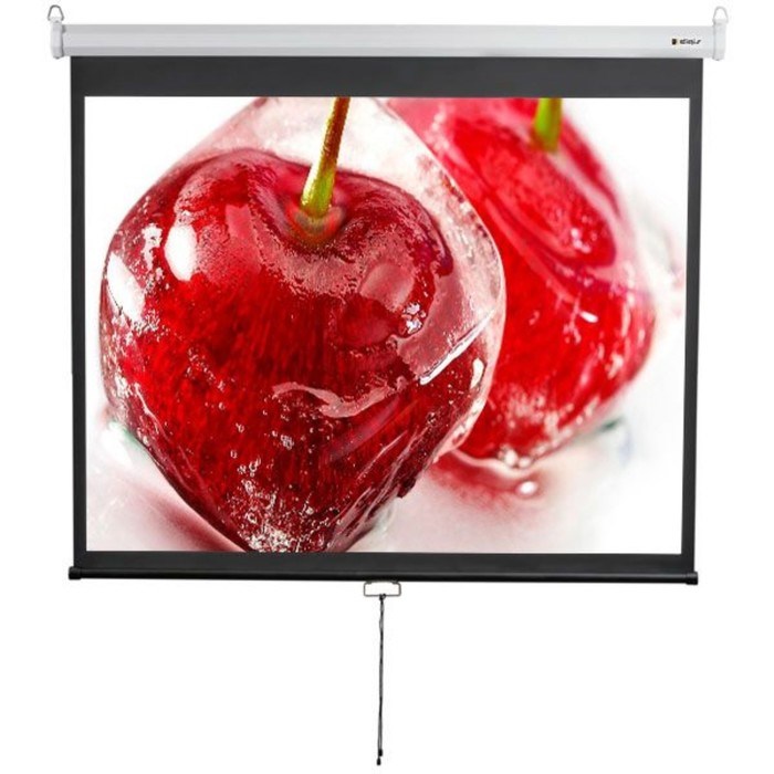 Экран 180x240 см, Digis Optimal-D DSOD-4304, 1:1, настенно-потолочный, рулонный - фото 51374680 Экран 180x240 см, Digis Optimal-D DSOD-4304, 1:1, настенно-потолочный, рулонный - фото 51374680