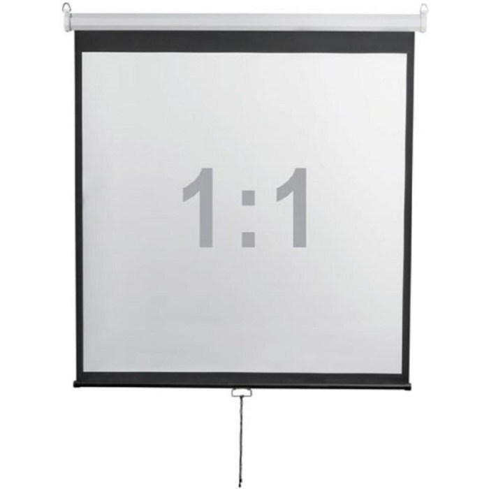 Экран 200x200 см, Digis Optimal-D DSOD-1105, 1:1, настенно-потолочный, рулонный - фото 51374692 Экран 200x200 см, Digis Optimal-D DSOD-1105, 1:1, настенно-потолочный, рулонный - фото 51374692
