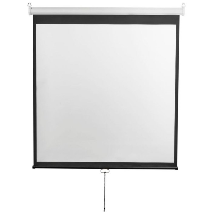 Экран 240x240 см, Digis Optimal-D DSOD-1107, 1:1, настенно-потолочный, рулонный - фото 51374736 Экран 240x240 см, Digis Optimal-D DSOD-1107, 1:1, настенно-потолочный, рулонный - фото 51374736