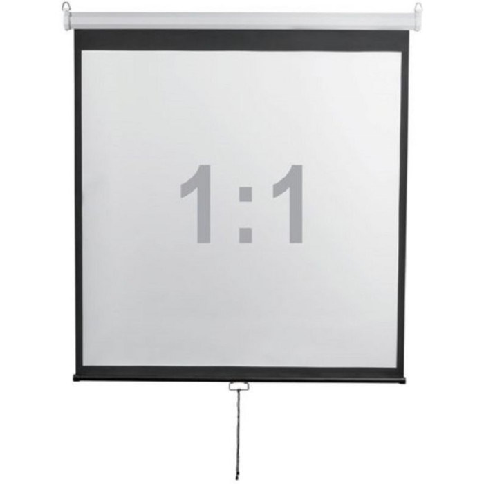 Экран 240x240 см, Digis Optimal-D DSOD-1107, 1:1, настенно-потолочный, рулонный - фото 51374737 Экран 240x240 см, Digis Optimal-D DSOD-1107, 1:1, настенно-потолочный, рулонный - фото 51374737
