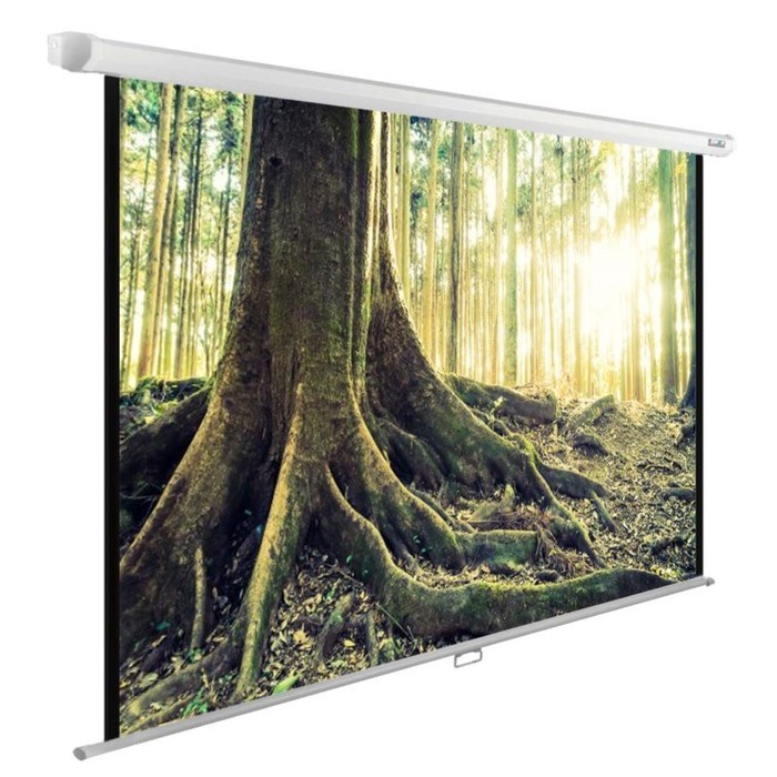 Экран Cactus 220x220см CS-PSWE-220x220-WT, 1:1, настенно-потолочный, рулонный - фото 51377146 Экран Cactus 220x220см CS-PSWE-220x220-WT, 1:1, настенно-потолочный, рулонный - фото 51377146