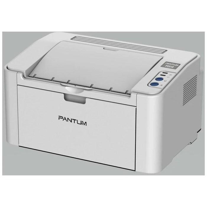Принтер лазерный ч/б Pantum P2518, 600x600 dpi, USB, А4, серый - фото 51381628 Принтер лазерный ч/б Pantum P2518, 600x600 dpi, USB, А4, серый - фото 51381628