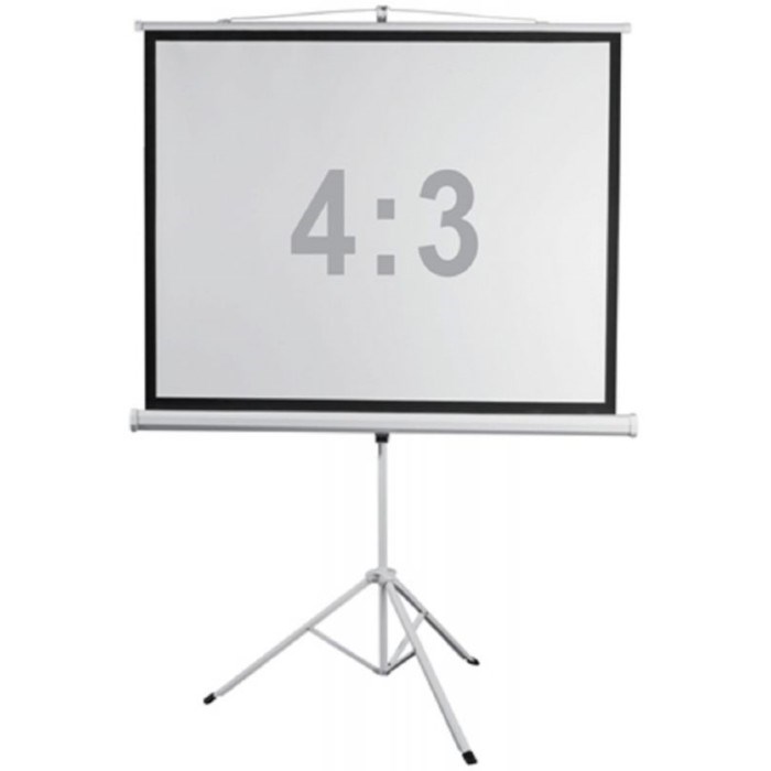 Экран Digis 150x200см Kontur-D DSKD-4303 4:3, напольный, рулонный - фото 51381818 Экран Digis 150x200см Kontur-D DSKD-4303 4:3, напольный, рулонный - фото 51381818