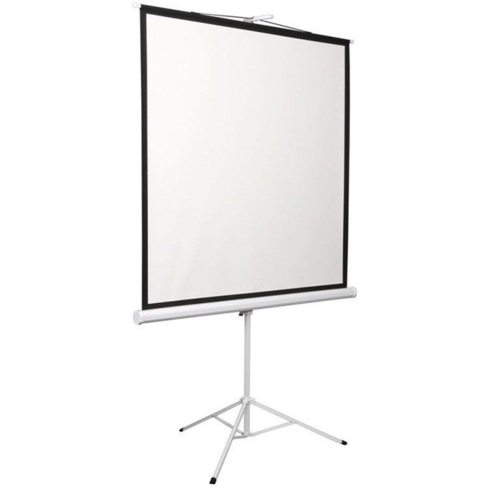 Экран Digis 150x200см Kontur-D DSKD-4303 4:3, напольный, рулонный - фото 51381819 Экран Digis 150x200см Kontur-D DSKD-4303 4:3, напольный, рулонный - фото 51381819
