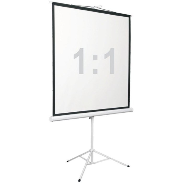Экран Digis 172x172см Kontur-D DSKD-1104 1:1, напольный, рулонный - фото 51381825 Экран Digis 172x172см Kontur-D DSKD-1104 1:1, напольный, рулонный - фото 51381825