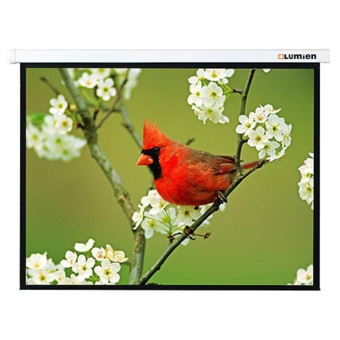 Экран Lumien 171x128см Master Picture LMP-100108 4:3, настенно-потолочный, рулонный, белый - фото 51381840 Экран Lumien 171x128см Master Picture LMP-100108 4:3, настенно-потолочный, рулонный, белый - фото 51381840