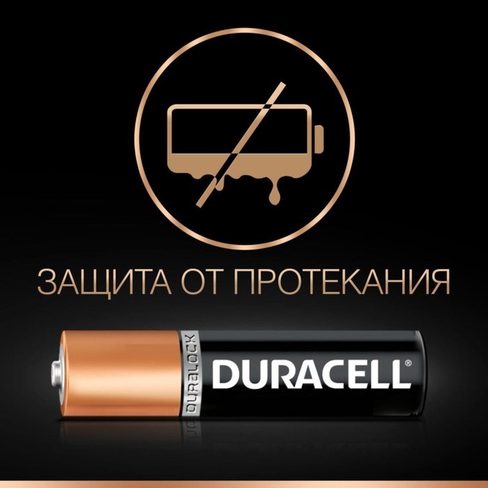Батарейка алкалиновая Duracell Basic, AAA, LR03-2BL, 1.5В, блистер, 2 шт. - фото 51386837 Батарейка алкалиновая Duracell Basic, AAA, LR03-2BL, 1.5В, блистер, 2 шт. - фото 51386837