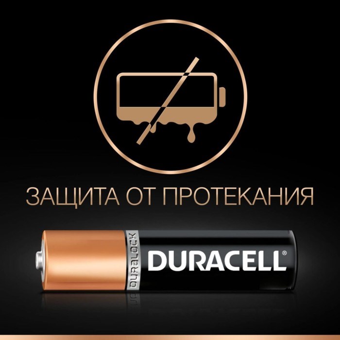 Батарейка алкалиновая Duracell Basic, AAA, LR03-6BL, 1.5В, блистер, 6 шт. - фото 51387080 Батарейка алкалиновая Duracell Basic, AAA, LR03-6BL, 1.5В, блистер, 6 шт. - фото 51387080