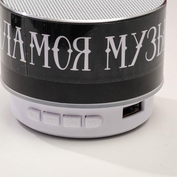 Колонка портативная новогодняя «Новый год: Моя музыка - мои правила», Bluetooth, USB, 6,9 х 6,9 х 5,2 см - фото 51390043 Колонка портативная новогодняя «Новый год: Моя музыка - мои правила», Bluetooth, USB, 6,9 х 6,9 х 5,2 см - фото 51390043