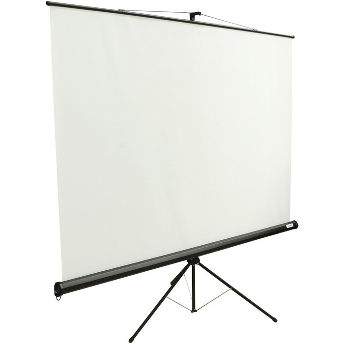 Экран Lumien 200x200 Eco View LEV-100103 1:1, напольный, рулонный - фото 51416024 Экран Lumien 200x200 Eco View LEV-100103 1:1, напольный, рулонный - фото 51416024