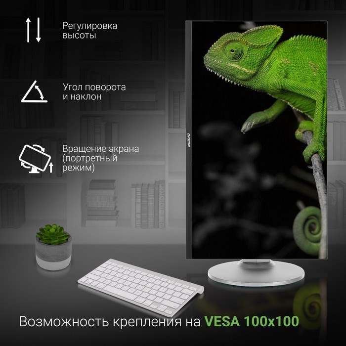 Монитор Digma 23.8" DM-MONB2407 черный IPS LED 7ms 16:9 HDMI M/M матовая HAS Piv 250cd 178гр 10046 - фото 51427124 Монитор Digma 23.8" DM-MONB2407 черный IPS LED 7ms 16:9 HDMI M/M матовая HAS Piv 250cd 178гр 10046 - фото 51427124