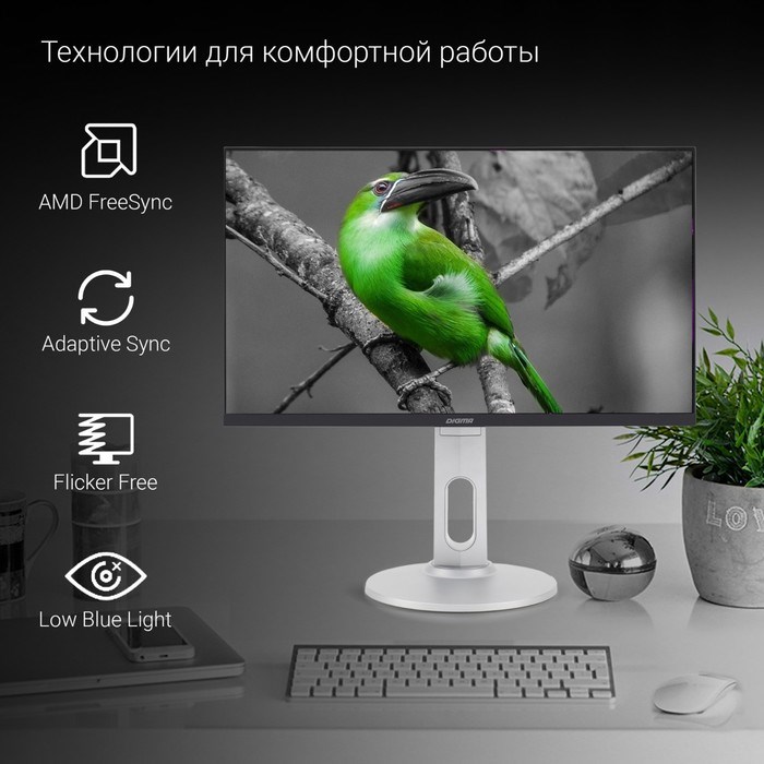 Монитор Digma 23.8" DM-MONB2408 черный IPS LED 5ms 16:9 HDMI M/M матовая HAS Piv 250cd 178гр 10046 - фото 51427134 Монитор Digma 23.8" DM-MONB2408 черный IPS LED 5ms 16:9 HDMI M/M матовая HAS Piv 250cd 178гр 10046 - фото 51427134