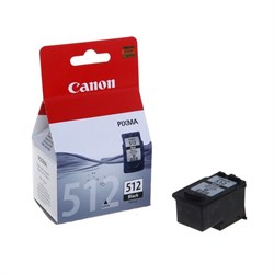 Картридж струйный Canon PG-512 2969B007 черный для Canon MP240/MP260/MP480 - фото 51363978