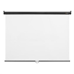 Экран Digis Optimal-C 160x160 DSOC-1101 1:1, настенно-потолочный, рулонный - фото 51364507