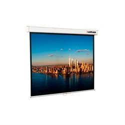 Экран Lumien 203x203 Master Picture LMP-100104 1:1, настенно-потолочный, рулонный - фото 51366211