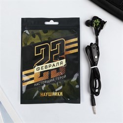 Наушники вакуумные «Настоящий герой. 23 февраля», с микрофоном, 1,2 м, 10 х 15 см - фото 51370097