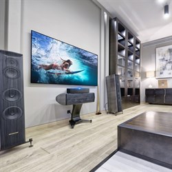 Экран Cactus 126x223см CS-PSALR-223X126, 16:9, на раме, настенный, натяжной - фото 51374548