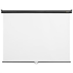 Экран 144x144 см, Digis Optima-C DSOC-1108, 1:1, настенно-потолочный, рулонный, черный - фото 51374642