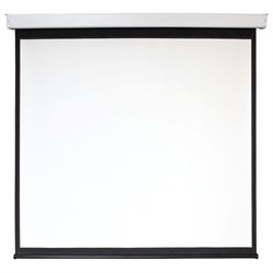 Экран 159x159 см, Digis Electra-F DSEF-1103, 1:1, настенно-потолочный, рулонный, привод - фото 51374650
