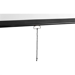 Экран 121x206 см, Digis Optimal-D DSOD-16903 16:9 настенно-потолочный, рулонный - фото 51374669