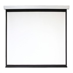 Экран 213x213 см, Digis Electra-F DSEF-1107, 1:1, настенно-потолочный, рулонный, привод - фото 51374676