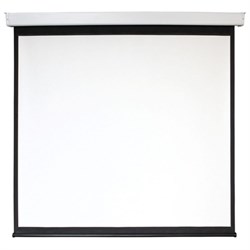 Экран 150x200 см, Digis Electra-F DSEF-4303, 4:3, настенно-потолочный, рулонный, привод - фото 51374710