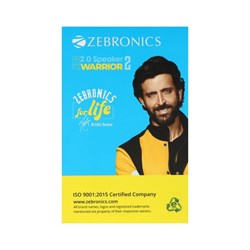 Компьютерные колонки 2.0 ZEBRONICS WARRIORII, 2х5 Вт, USB, подсветка, чёрные - фото 51382741