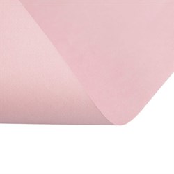 Бумага цветная А4, 250 листов Calligrata Пастель, 5 цветов, 80 г/м² - фото 51385038