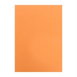 Бумага цветная А4, Calligrata, 500 листов, пастель, интенсив, 10 цветов, 80 г/м², МИКС - фото 51385424