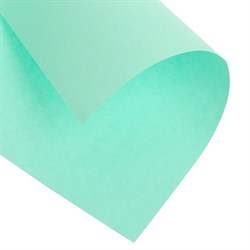 Бумага цветная А4, Calligrata, 100 листов, умеренный интенсив, 80г/м², зеленый - фото 51385451