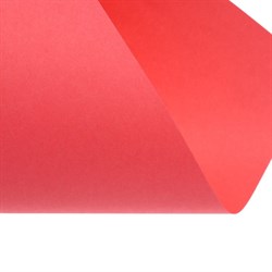 Бумага цветная А4, Calligrata, 500 листов, умеренный интенсив, 5 цветов, 80 г/м², МИКС - фото 51385477