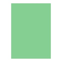 бумага цветная А5 100л Calligrata Интенсив Зеленый 80г/м2 - фото 51385481