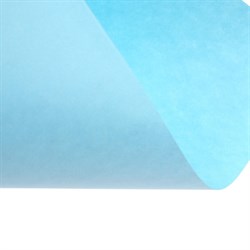 Бумага цветная А4, Calligrata, 250 листов, пастель, интенсив, 80 г/м², 10 цветов - фото 51385529