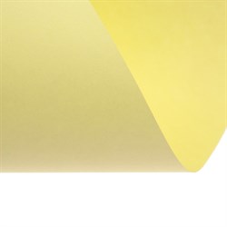 Бумага цветная А4, Calligrata, 250 листов, пастель, интенсив, 80 г/м², 10 цветов - фото 51385531