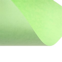 Бумага цветная А4, Calligrata, 250 листов, пастель, интенсив, 80 г/м², 10 цветов - фото 51385533