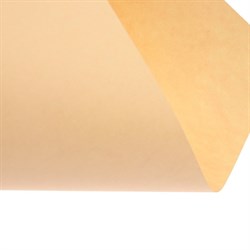 Бумага цветная А4, Calligrata, 250 листов, пастель, интенсив, 80 г/м², 10 цветов - фото 51385535