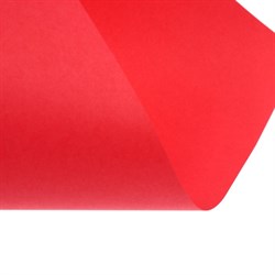 Бумага цветная А4, Calligrata, 250 листов, пастель, интенсив, 80 г/м², 10 цветов - фото 51385539