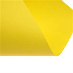 Бумага цветная А4, Calligrata, 250 листов, пастель, интенсив, 80 г/м², 10 цветов - фото 51385541